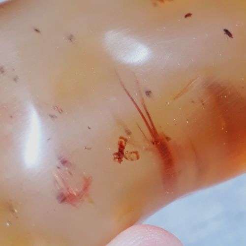 HUGE COPAL AMBER.  INSECTS AND OTHER INCLUSIONS. PARTLY POLISHED. GOOD PRICE!!
