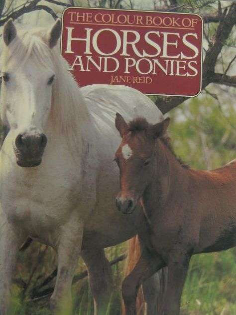 The Colour Book of Horses & Ponies