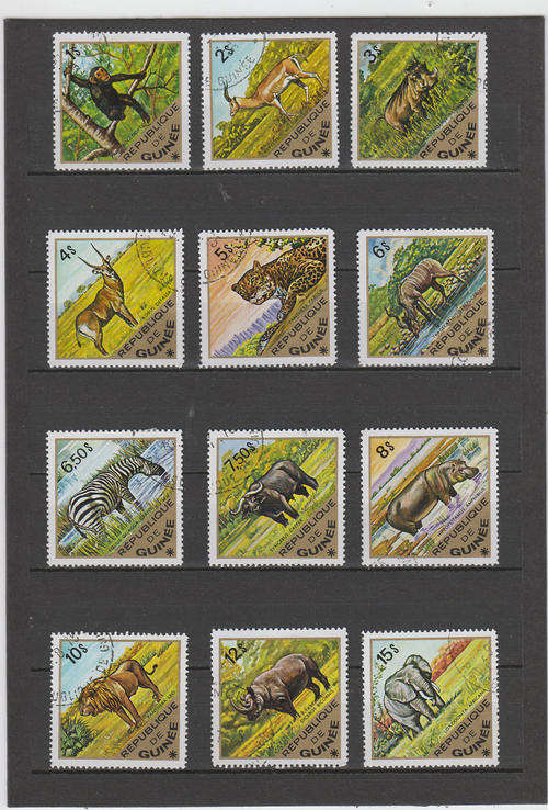 Guinee, set animals used