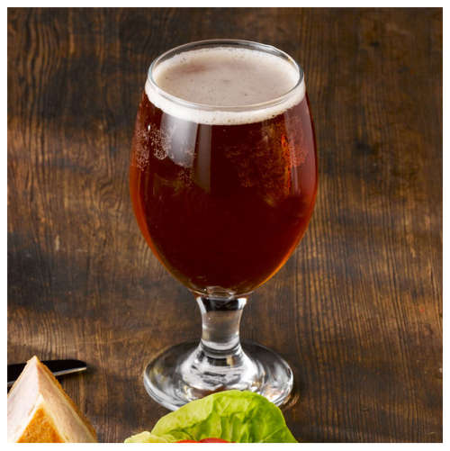 6 Piece Clear Classy Stemmed Craft Beer and Ale Glass Set