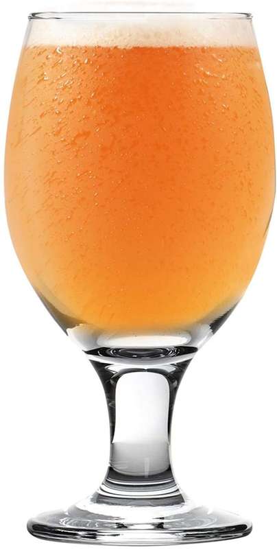 6 Piece Clear Classy Stemmed Craft Beer and Ale Glass Set
