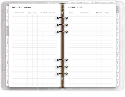 2024 Finance Digital Planner - 76 Pages - Hyperlinked Tabs - Goodnotes