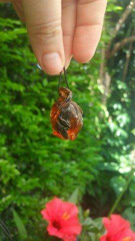A Chinese Amber Pendant in the Form of a Peach and Insect