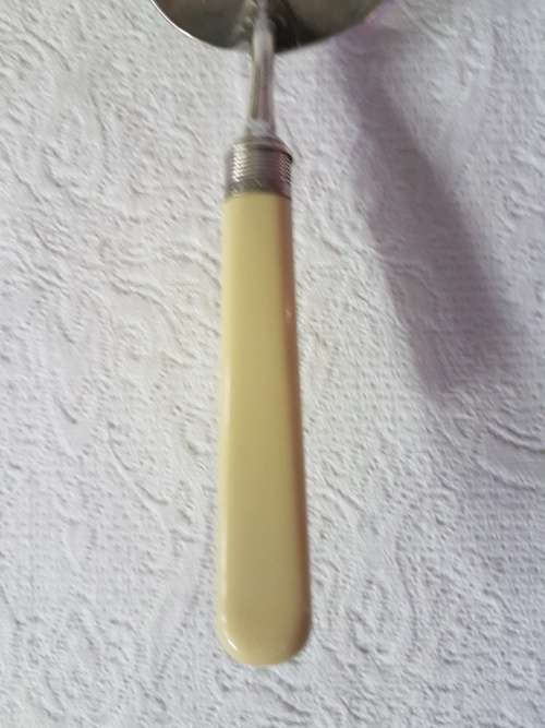 A Vintage EPNS Crumb Scoop with Silver Collar and Ivory Style Celluloid Handle