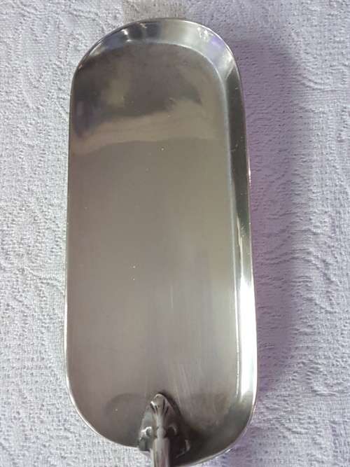 A Vintage EPNS Crumb Scoop with Silver Collar and Ivory Style Celluloid Handle