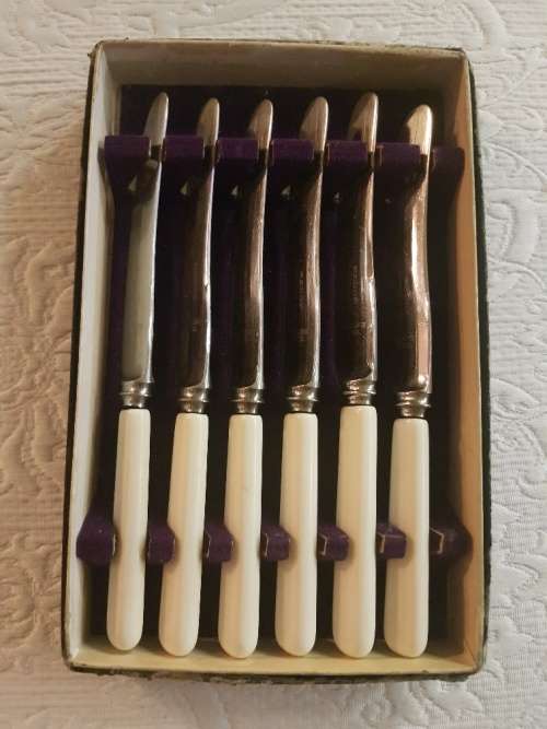 Boxed Redge Sheffield Bone Style Knives Stainless Steel  17.5cm length
