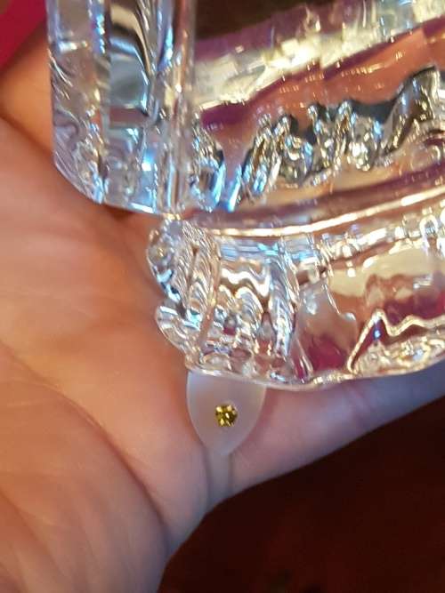 Swarovski Columbine Designer G Stamey Annual 2000 17cm high
