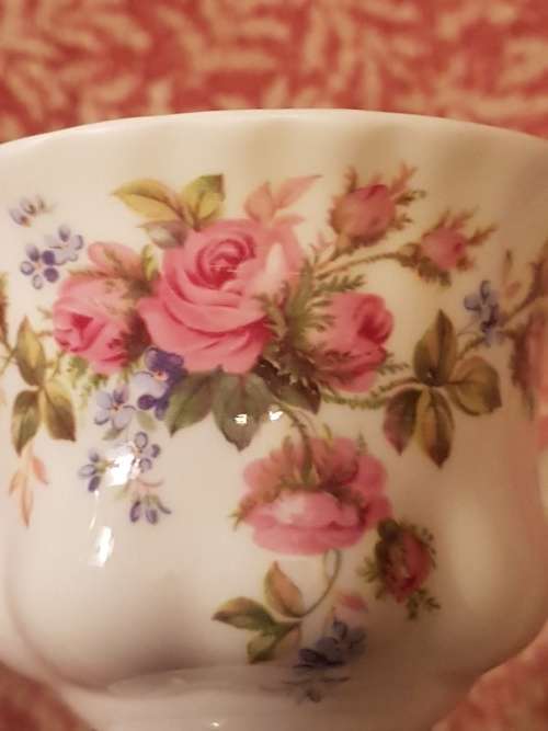 For Lindsay Only Royal Albert Moss Rose Tea Cup and Saucer