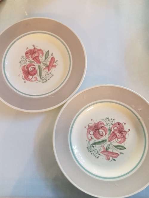 For lindsay only A Pair of Susie Cooper Lilly Side Plates