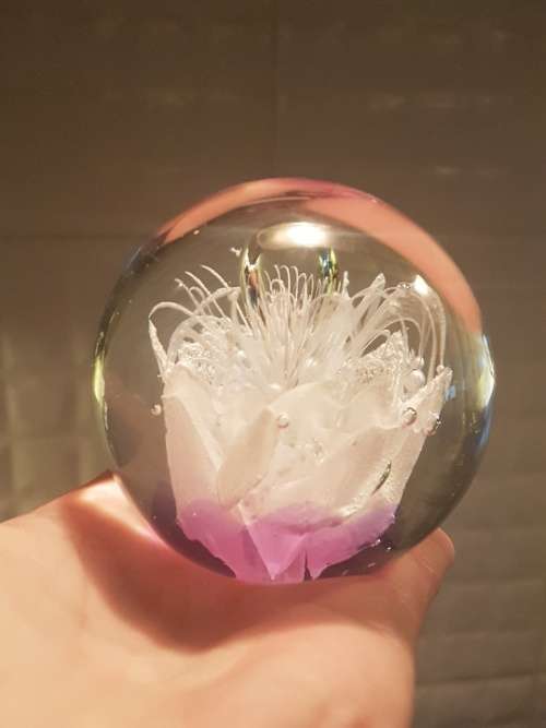 Lovely Glass Paper weight