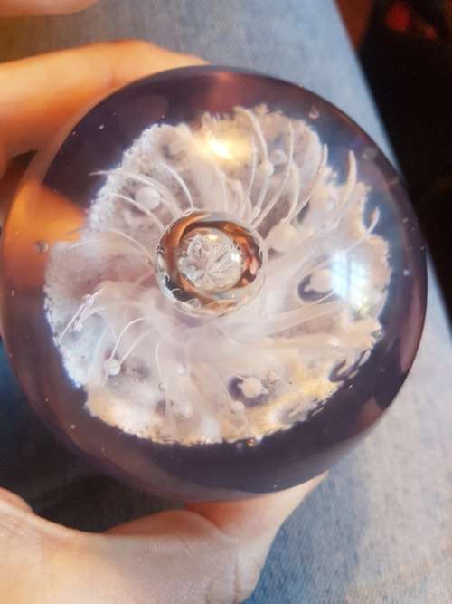 Lovely Glass Paper weight
