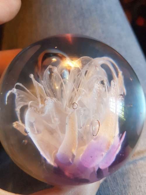 Lovely Glass Paper weight