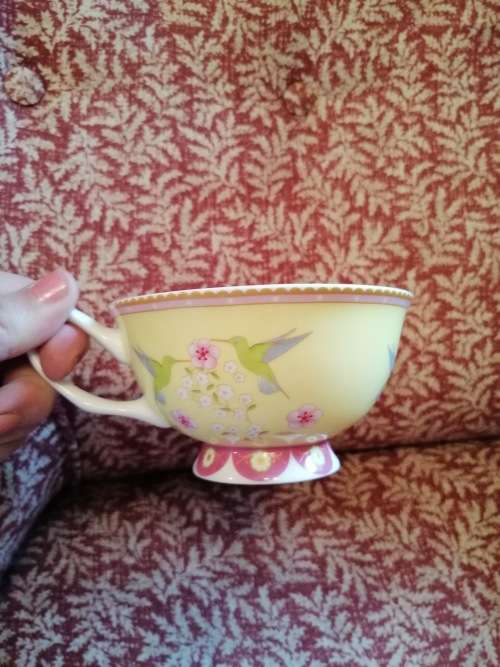 Cashmere Enchanted Antoinette Tea cup