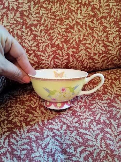Cashmere Enchanted Antoinette Tea cup