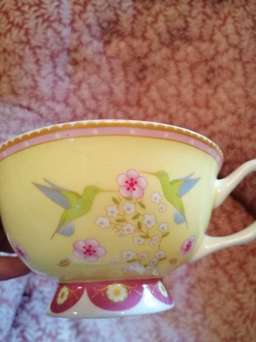 Cashmere Enchanted Antoinette Tea cup