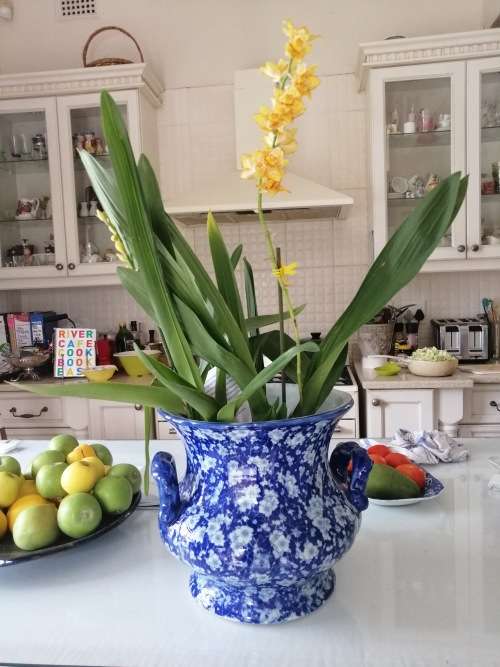 RESERVED FOR TRACY Gorgeous! Blue and White Beauty Victoria Iron Stone Urn shaped Planter