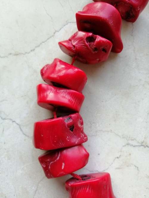 Red Chunky Bamboo Coral Necklace