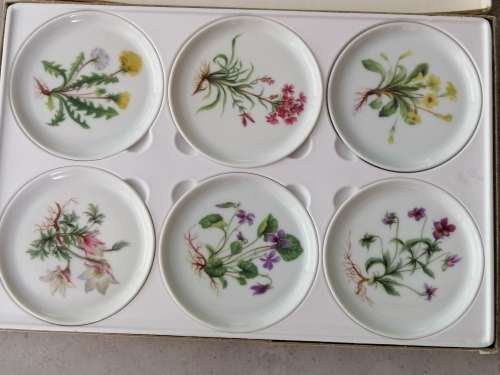 Boxed 6 Ceramic Coasters! German Made Furstenburg Porzelain Set 1747 Botanicals