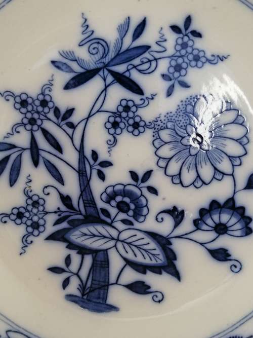 Blue Onion Desgin Bowl BWand Co Late Mayer