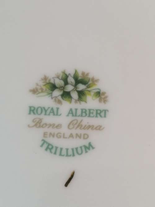 6 ROYAL ALBERT TRILLIUM PATTERN SIDE PLATES