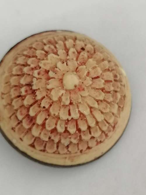 Chinese Lacquered/Resin Carved Snuff Bottle