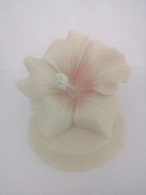 BEAUTIFUL HAND CARVED CARINIA HIBISCUS FLOWER
