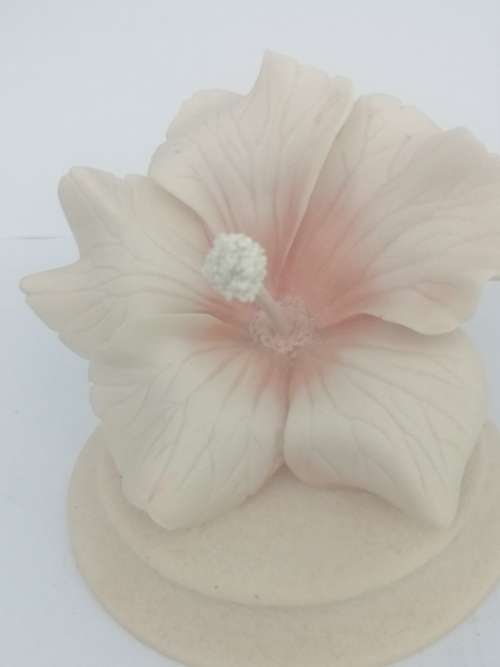 BEAUTIFUL HAND CARVED CARINIA HIBISCUS FLOWER