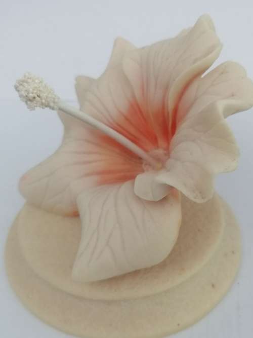BEAUTIFUL HAND CARVED CARINIA HIBISCUS FLOWER
