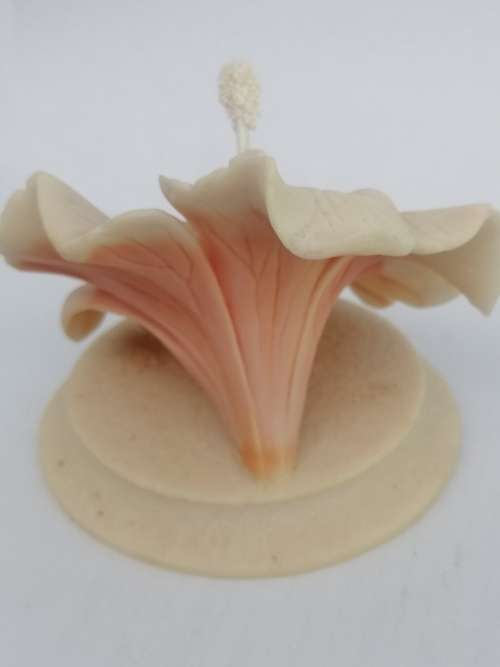 BEAUTIFUL HAND CARVED CARINIA HIBISCUS FLOWER
