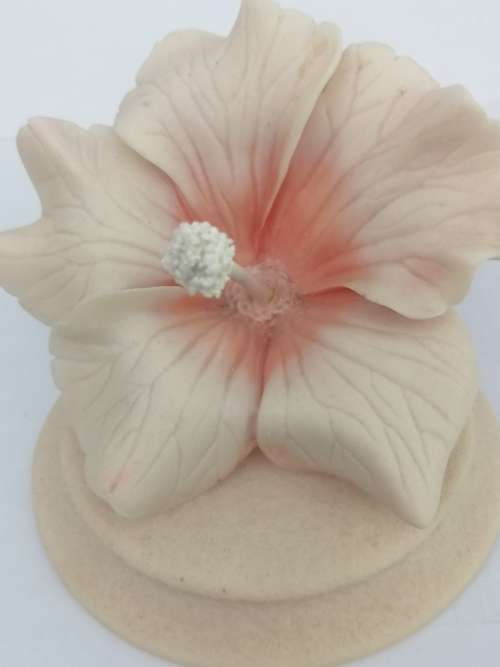 BEAUTIFUL HAND CARVED CARINIA HIBISCUS FLOWER