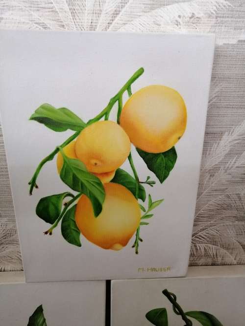 AMAZING DETAIL 3 PAINTINGS OF LEMONS M.HAUSER SWISS