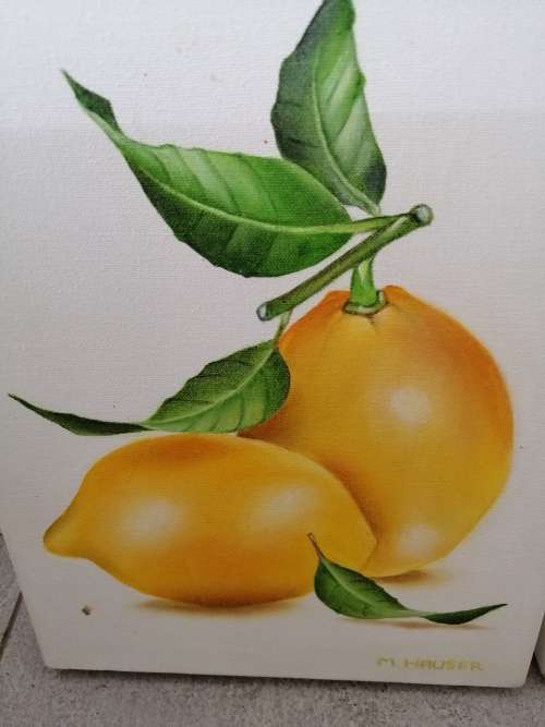 AMAZING DETAIL 3 PAINTINGS OF LEMONS M.HAUSER SWISS