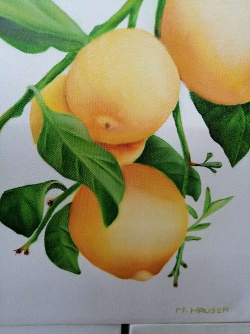 AMAZING DETAIL 3 PAINTINGS OF LEMONS M.HAUSER SWISS