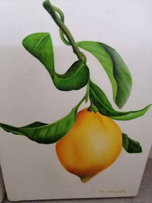 AMAZING DETAIL 3 PAINTINGS OF LEMONS M.HAUSER SWISS
