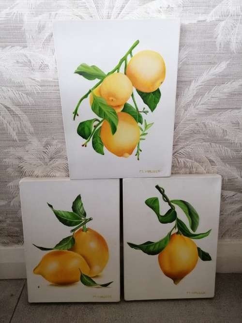 AMAZING DETAIL 3 PAINTINGS OF LEMONS M.HAUSER SWISS
