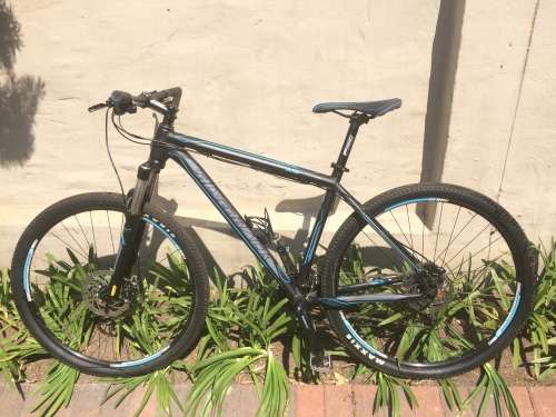 Silverback Sola 4 (2014) - Large