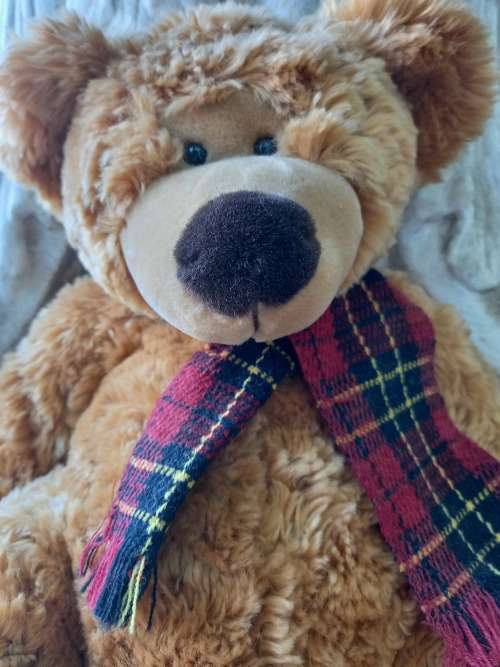 RUSS TEDDY BEAR - CRACKER