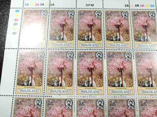 Swaziland 1980 flowers 1c full sheets of 50 x 3 U.M.M.