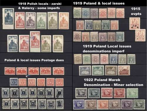 Mint / MLH Early Poland and Local issues + Postage dues - Great in this condition