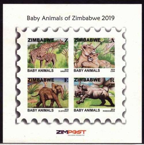 Zim 2019 Baby Animals MNH Huge cutting error