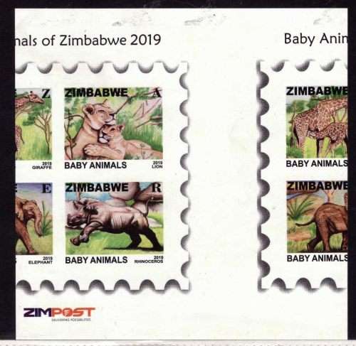 Zim 2019 Baby Animals MNH Huge cutting error