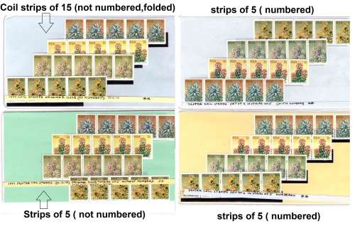 RSA 1977 Proteas MNH coils - strips of 15 and 5 - Numbered and un-numbered on back