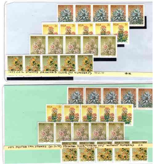 RSA 1977 Proteas MNH coils - strips of 15 and 5 - Numbered and un-numbered on back