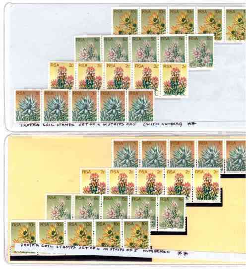 RSA 1977 Proteas MNH coils - strips of 15 and 5 - Numbered and un-numbered on back