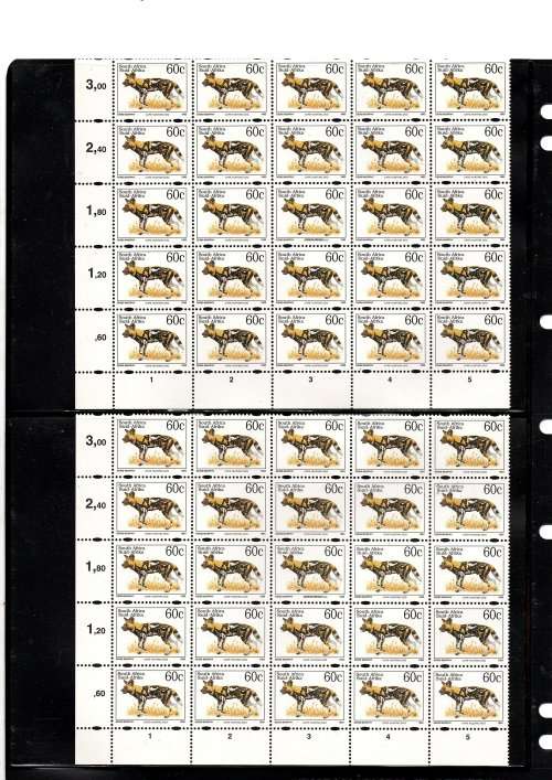 6 x 1993 SA 60c CAPE HUNTING DOG CORNER BLOCKS OF 25 WITH VARIETY SACC 834 D