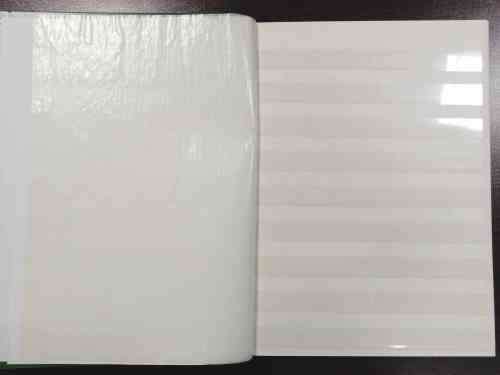 Decent Condition 16 Pg / 32 side Pronto stockbook - 9 strips clear