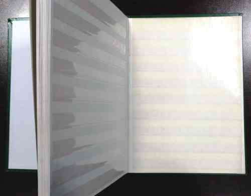 Decent Condition 16 Pg / 32 side Pronto stockbook - 9 strips clear