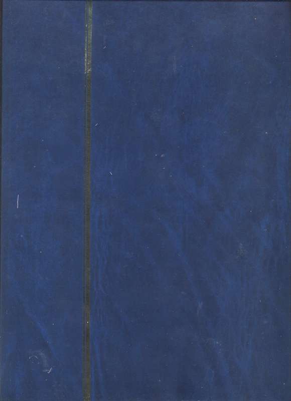 Portugal, MOZ, Brasil , Mexico Collection in 32 side PRINZ 4016 Stockbook