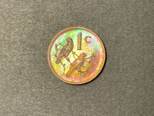 1983 RSA proof 1c (1 cent) coin - Excellent toned