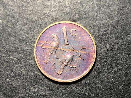 1981 Bronze Proof One cent (1c) coin - Excellently toned